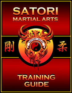 Satori Dojo Training Guide